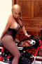 trans-latina-172316